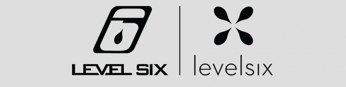 Level six dual logo